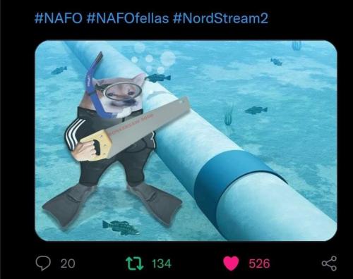 309049686 1135527320382624 8171405014488612355 n