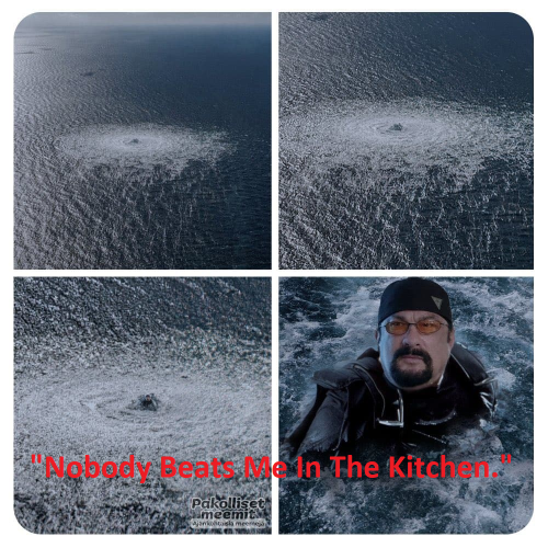 Steven-Segal-Nobody-Beats-Me-In-The-Kitchen